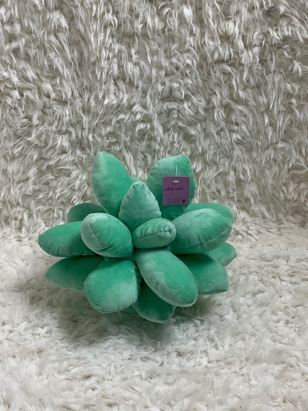 PLUSH SUCCULENT THROW PILLOW NOVELTY CUSHION!